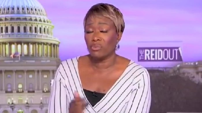 joy-reid-accuses-desantis-of-turning-florida-into-a-‘right-wing-fantasy-land’-and-we’re-all-for-it