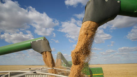 ukraine-wants-grain-export-deal-extended-–-official