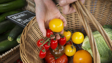 british-supermarkets-begin-rationing-vegetables