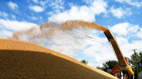 how-eu-halt-of-ukrainian-grain-imports-could-impact-global-food-supply