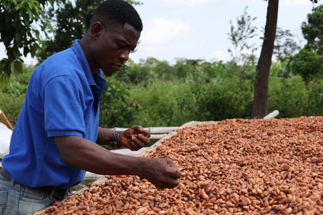chocolate-inflation-won’t-quit-as-the-wholesale-cocoa-cost-soars-to-the-highest-level-in-over-a-decade