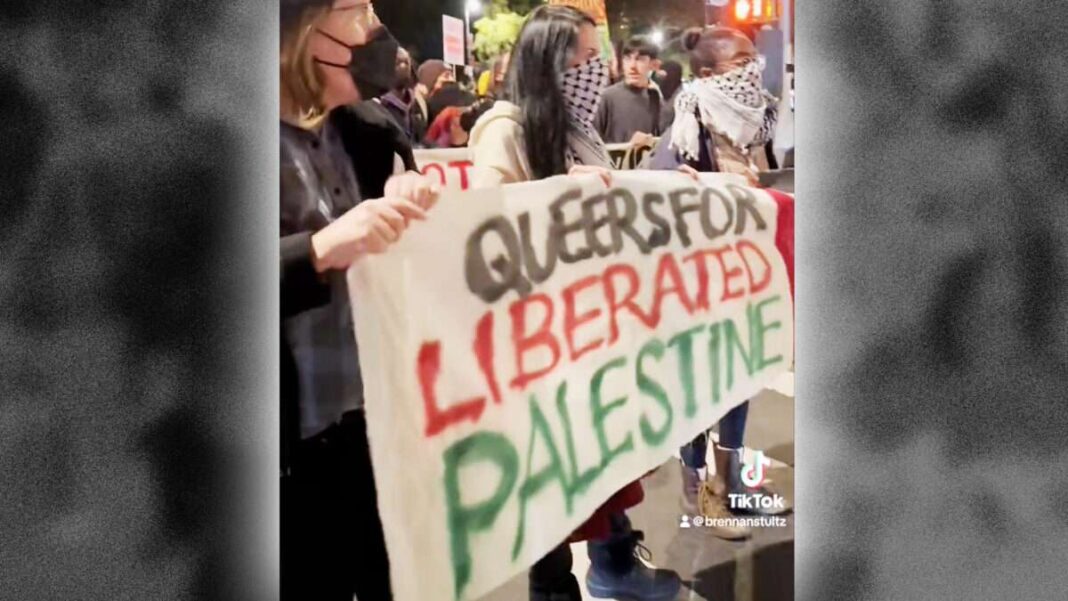 the-contradictions-of-‘queers-for-palestine’