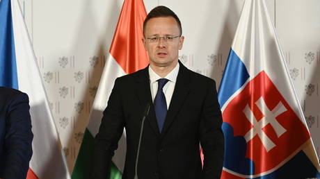 eu-state-doesn’t-need-ukraine-to-get-russian-gas-–-fm